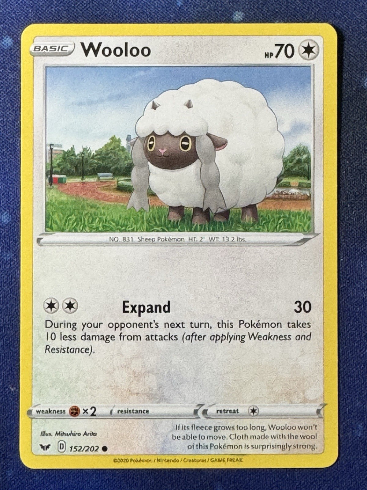 Wooloo - 152/202 - Common - Pokemon Sword & Shield - NM/M