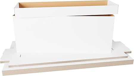 Max Protection Comic Book Storage Box (5 Count)